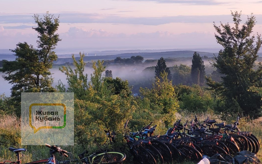 Фото: Живая Кубань