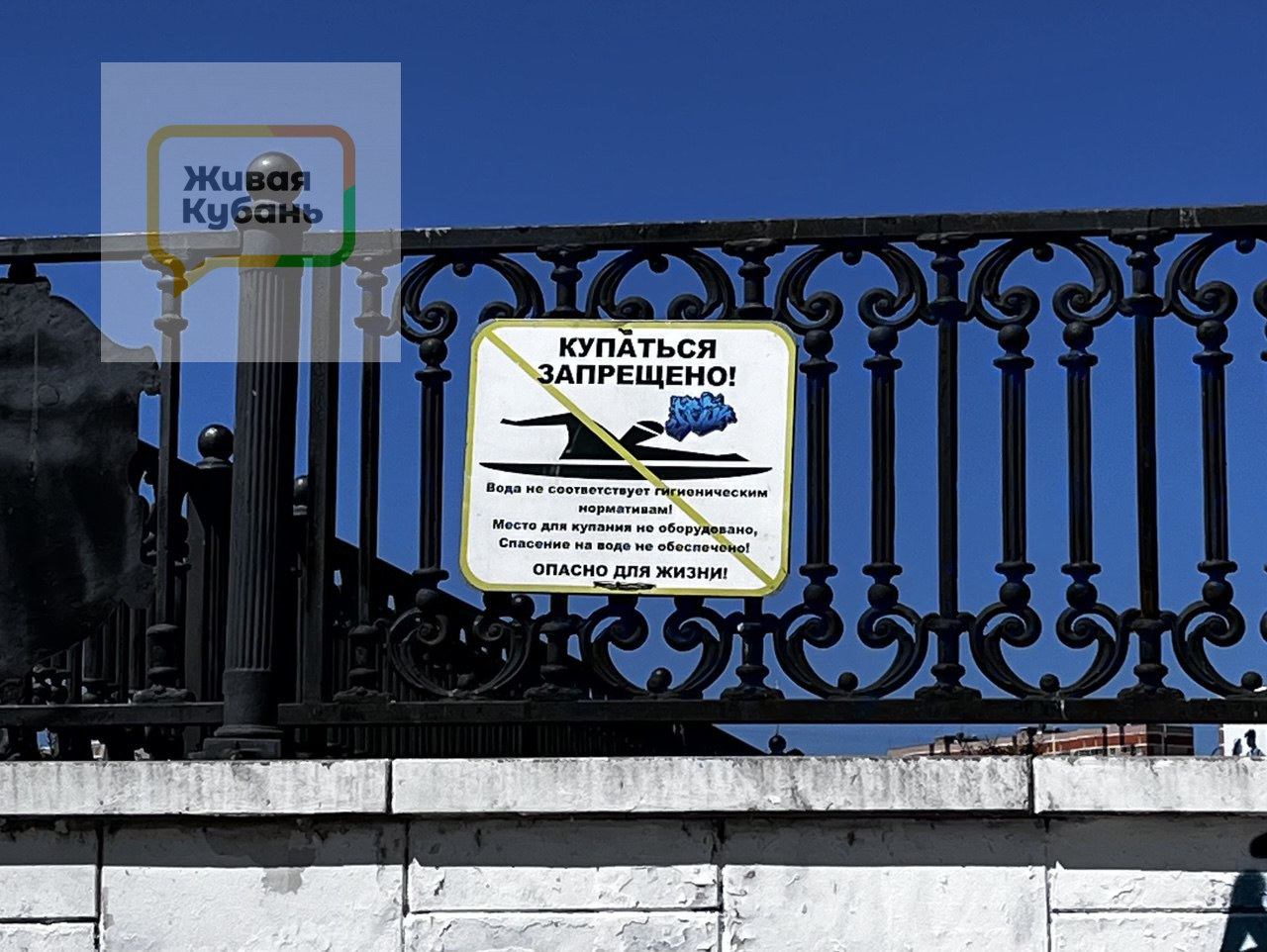 Фото: Живая Кубань