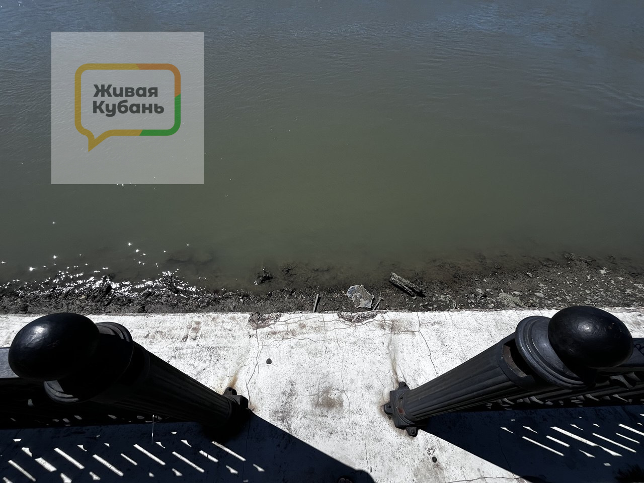 Фото: Живая Кубань