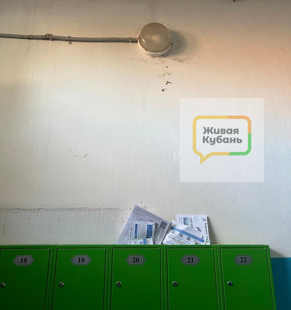 Фото: Живая Кубань