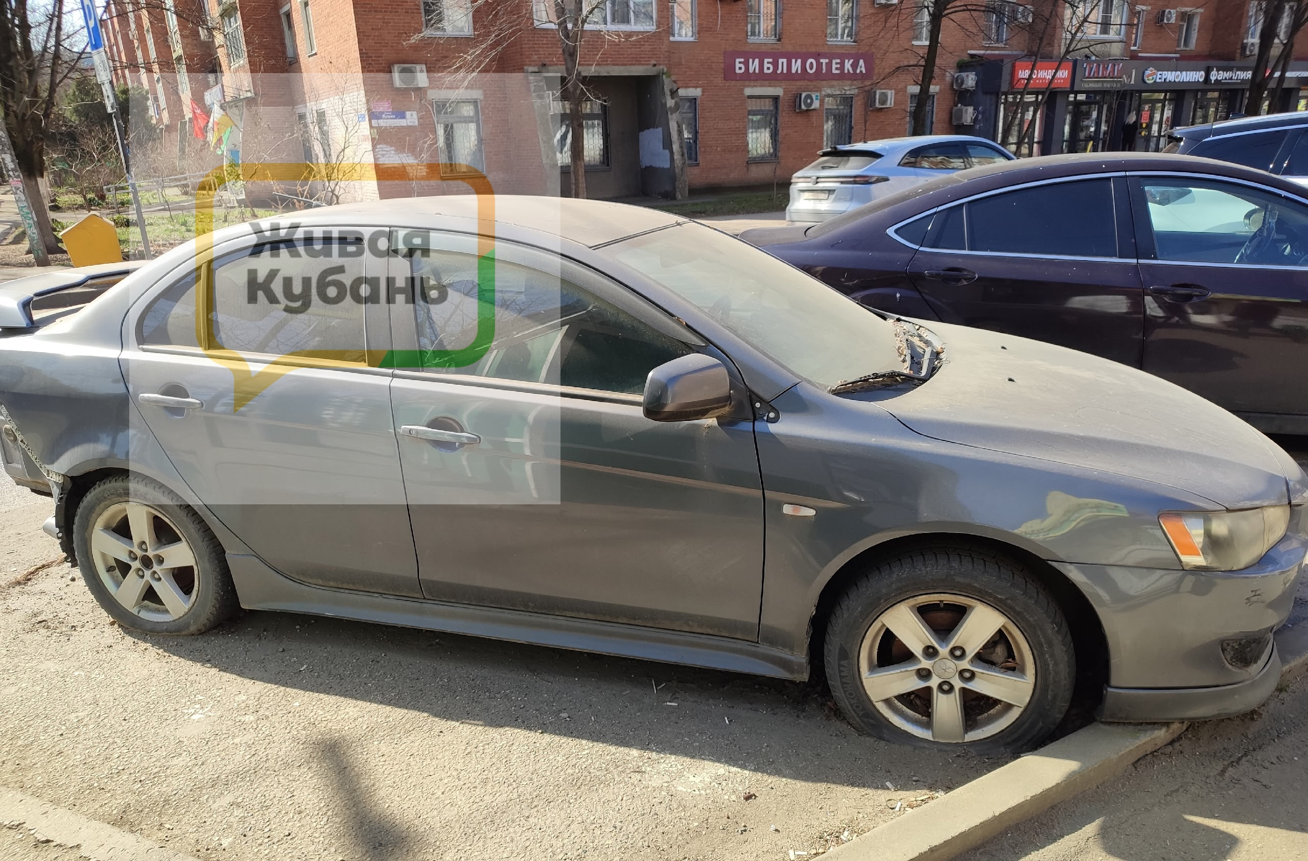 Фото: Живая Кубань