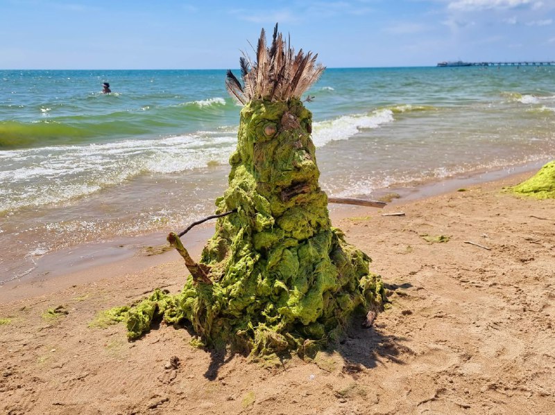 В Анапе туристы придумали, как использовать водоросли из моря ВИДЕО