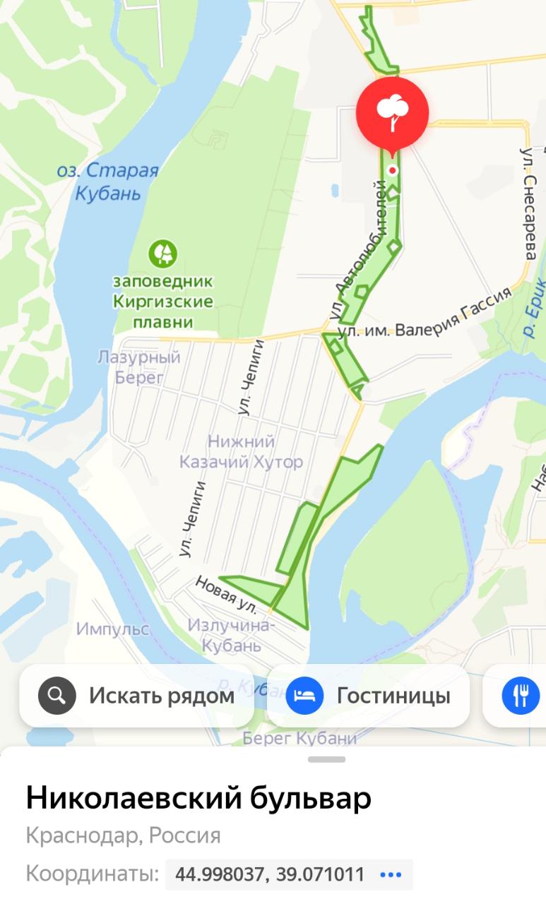 Николаевский бульвар в Краснодаре распилили и превратили в пустырь ВИДЕО