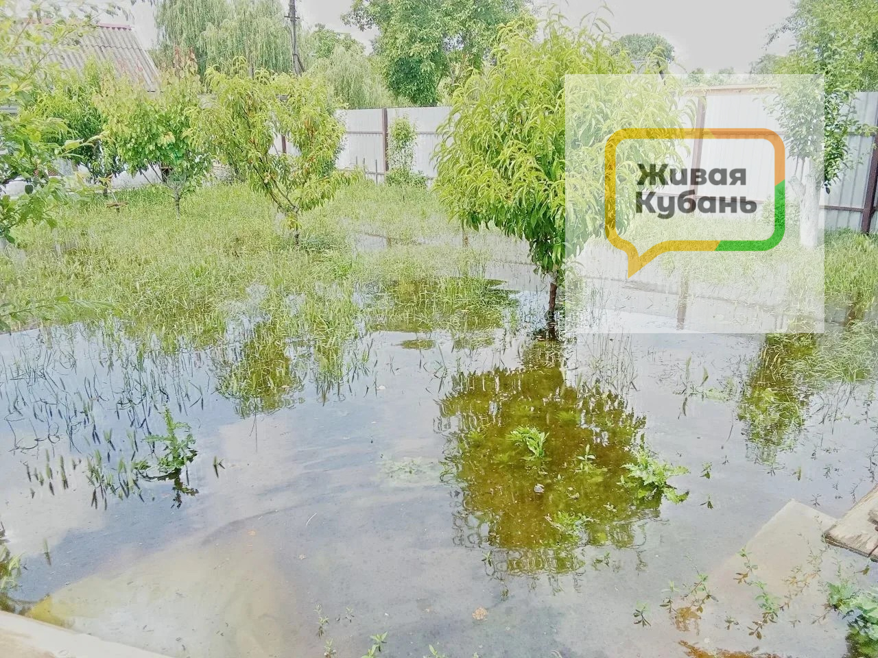 вода