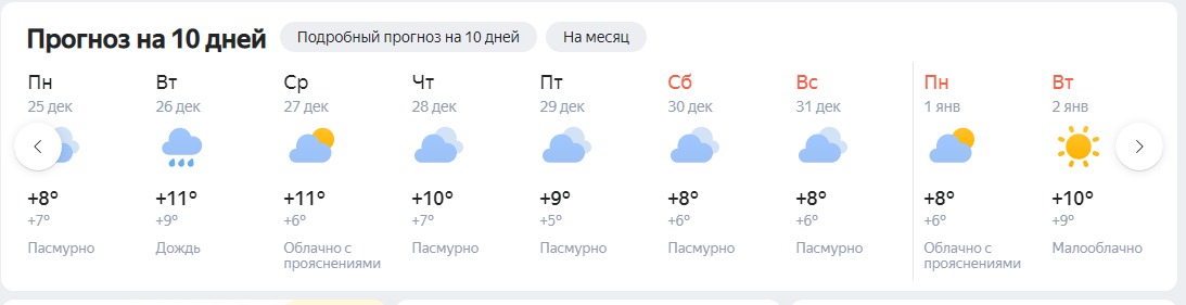 Будет снег или нет: рассказываем, какую погоду ожидать кубанцам на Новый год