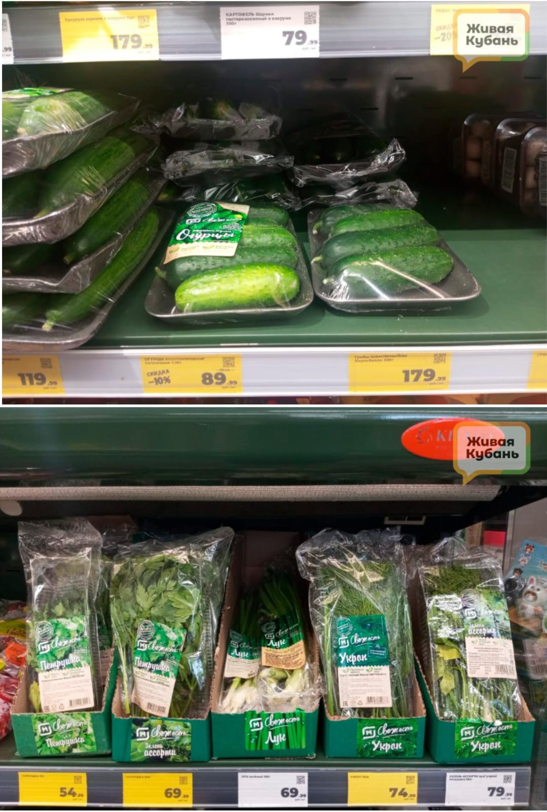 Фото: Живая Кубань