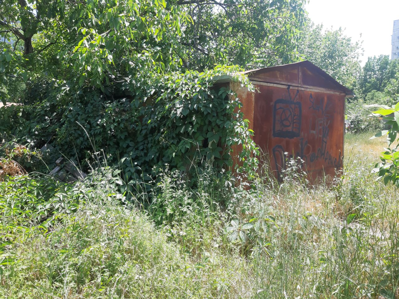 Быть или не быть гаражам: в Краснодаре тысячи самовольных конструкций уродуют город