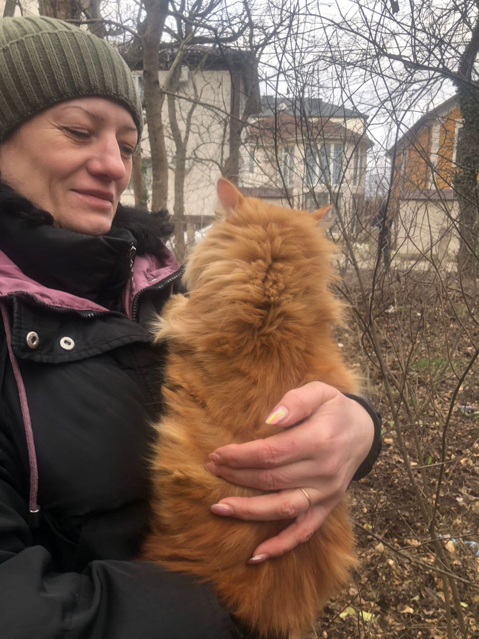 В Новороссийске с 14-метрового дерева спасатели снимали кота при помощи альпинистского снаряжения