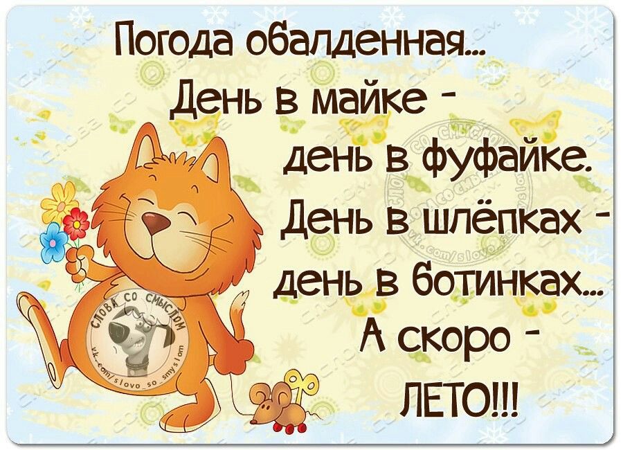 В хорошую погоду меня от окна даже за уши не оттащишь: анекдоты дня