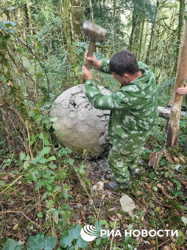 В Сочи разрушили установленные в лесу гигантские шары