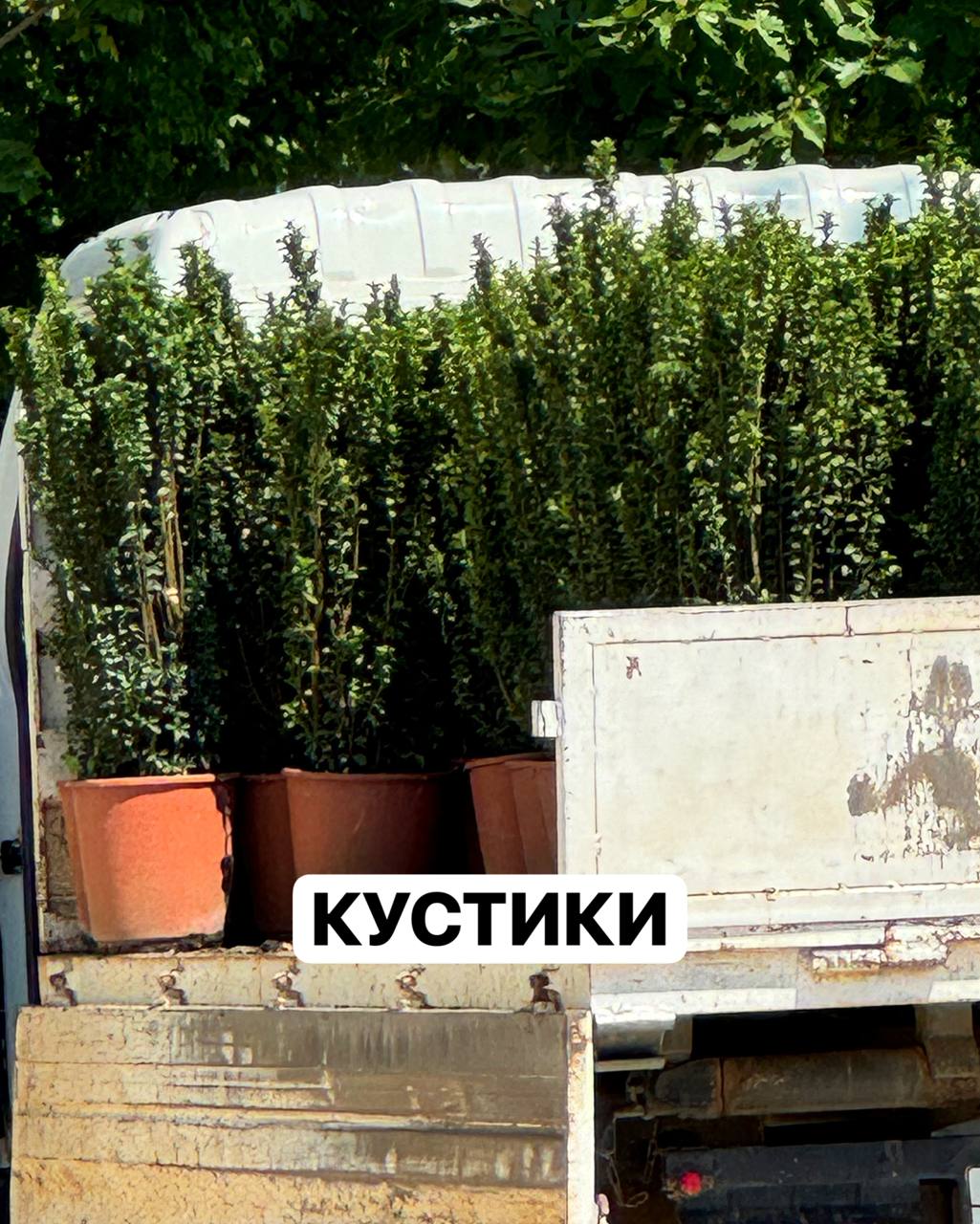 Стало известно, чем в парке Галицкого в Краснодаре заменят арт-объект «Солнечная система»