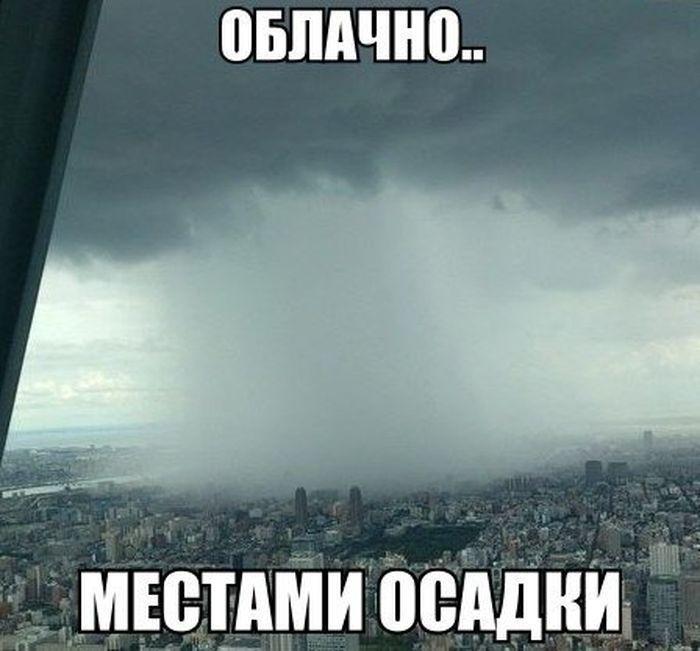 Зонт – это амулет от дождя. Когда он с вами – осадков не будет: анекдоты дня