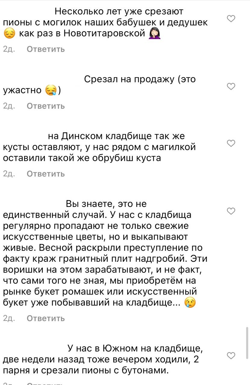 В Краснодарском крае со станичного кладбища мужчина крадет пионы ВИДЕО