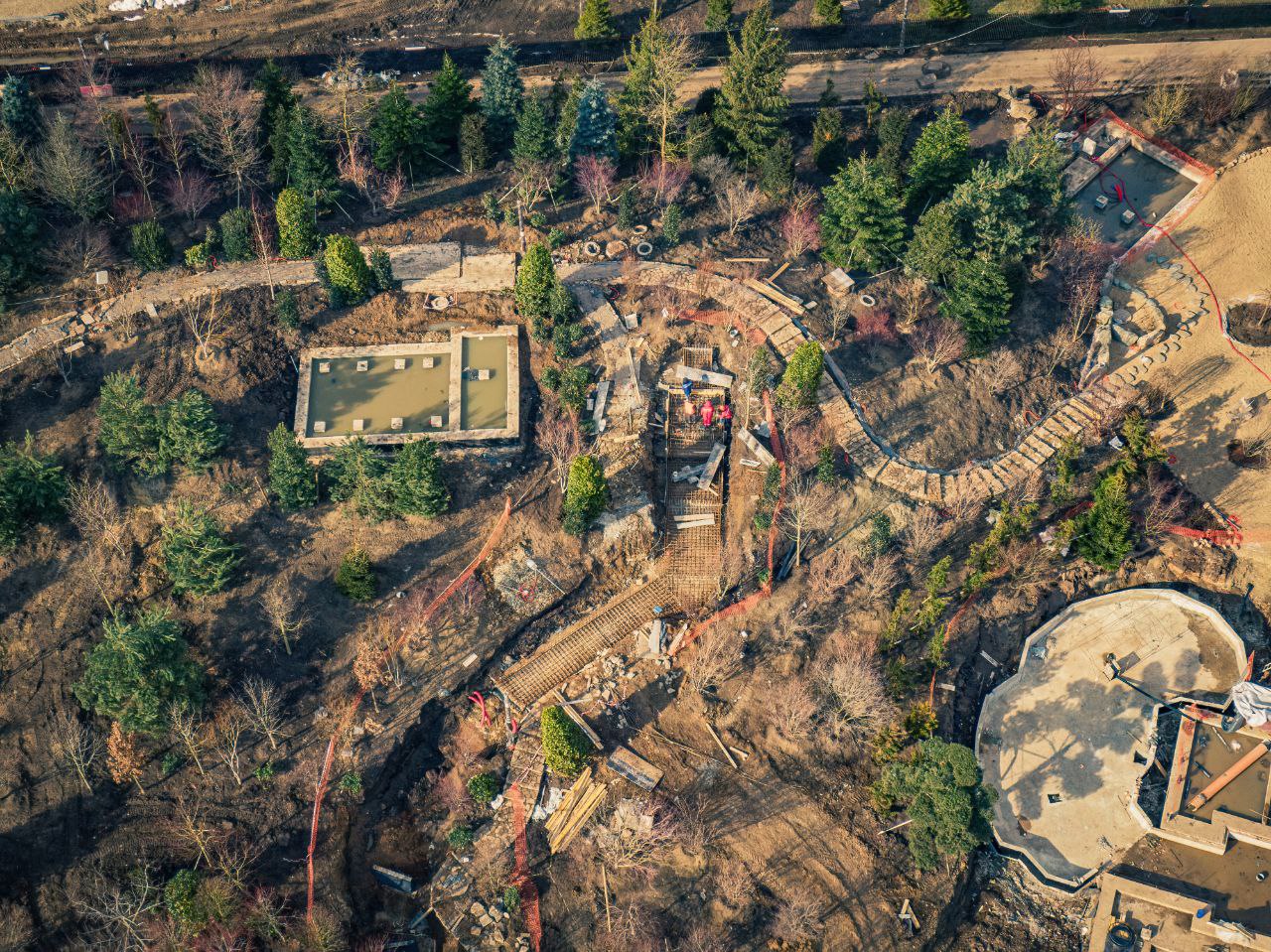 В японский сад парка Галицкого привезли самую высокую траву в мире ВИДЕО