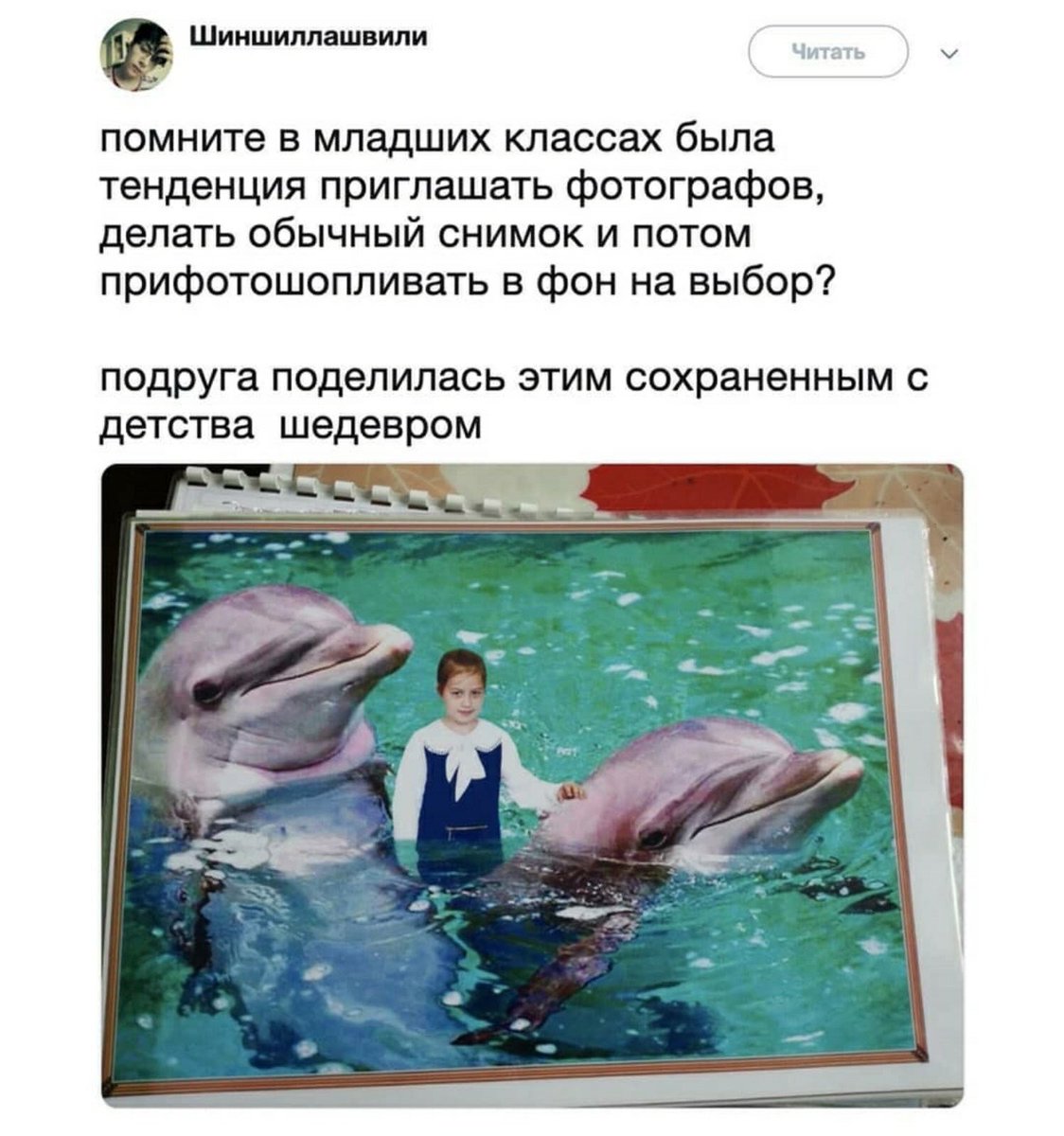 Мало кто знает, но у дельфинов на полотенцах изображены люди: анекдоты дня 