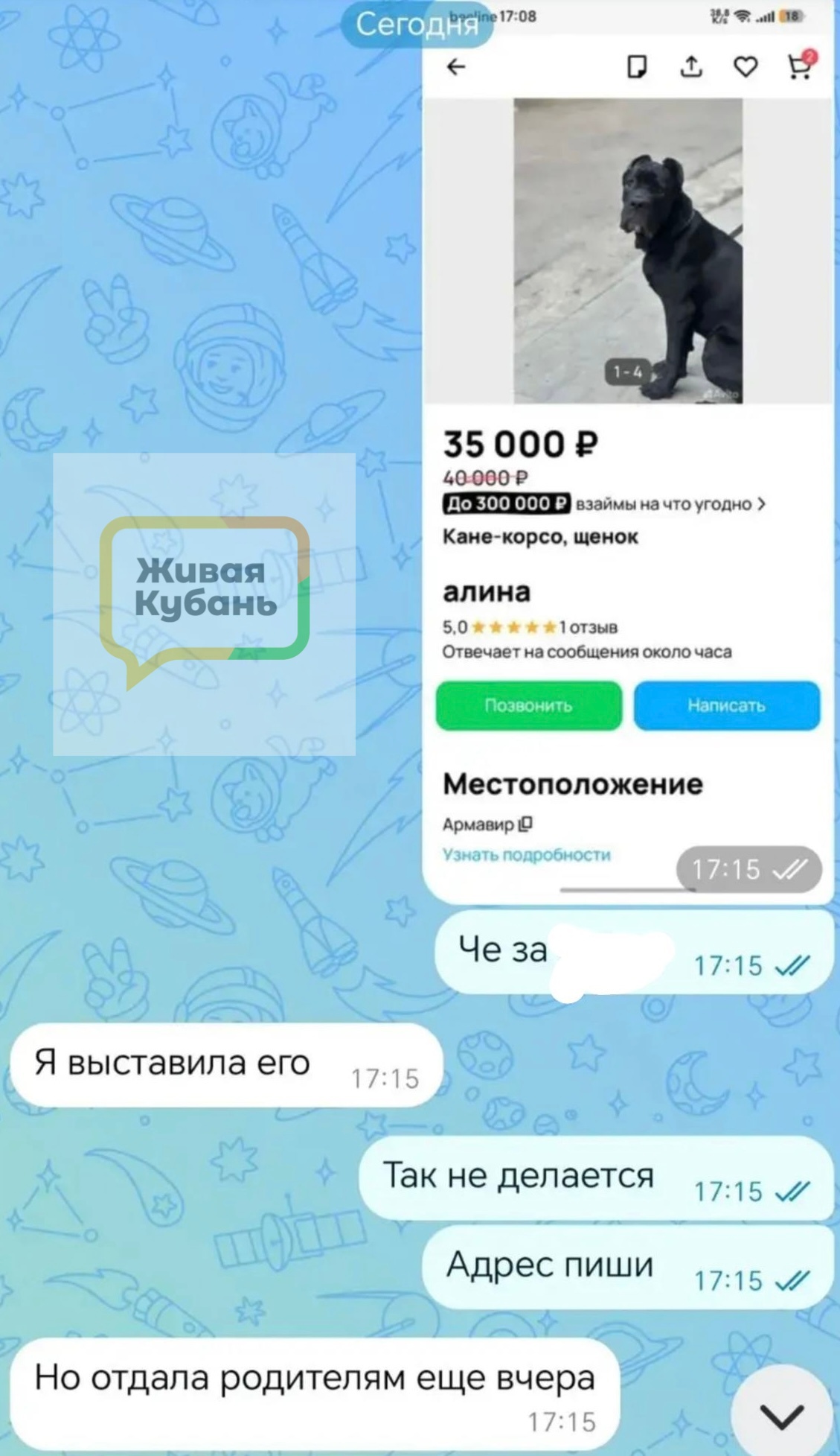 скрин