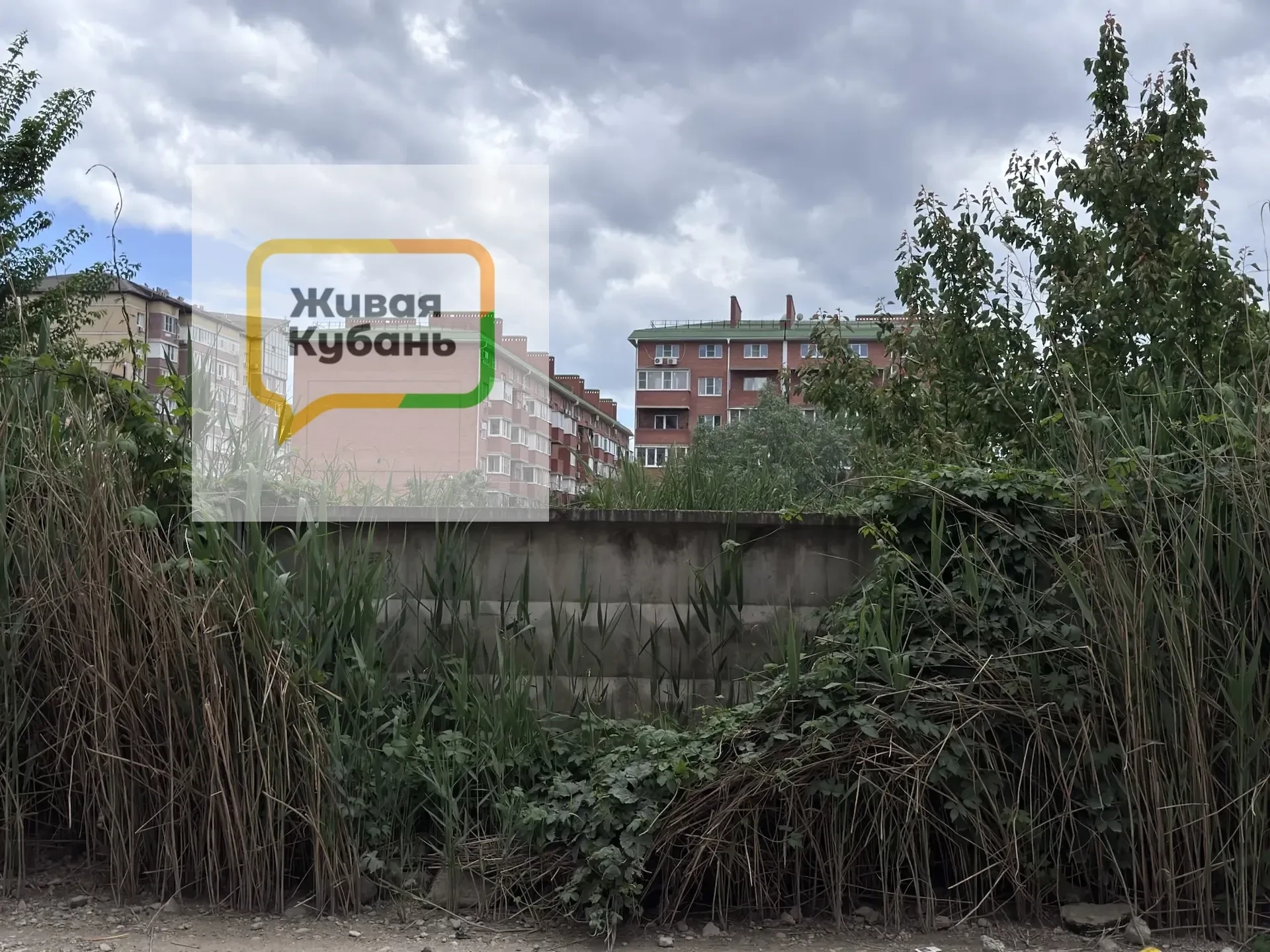 мусор