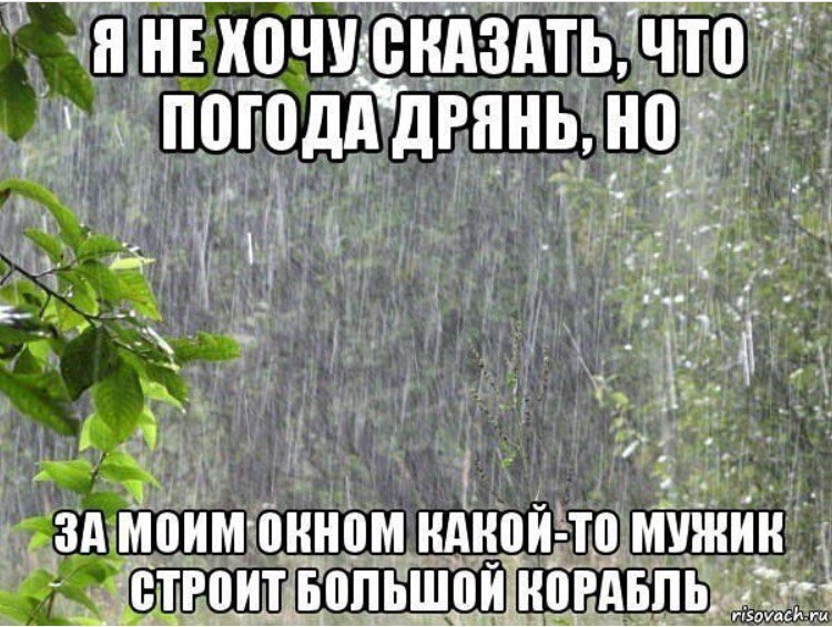 Зонт – это амулет от дождя. Когда он с вами – осадков не будет: анекдоты дня