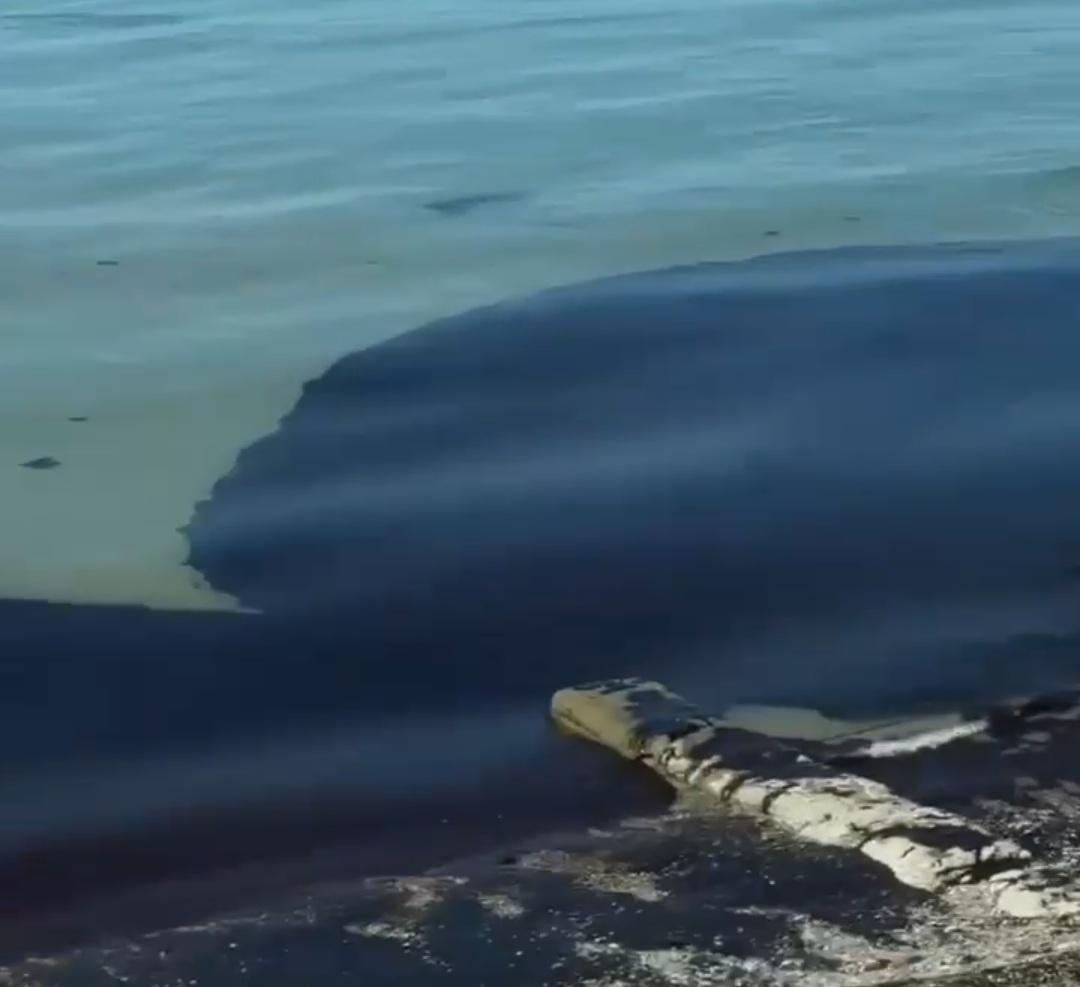 Пляж Туапсе