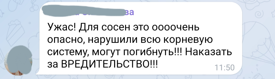 В уникальной роще Геленджика крупно нагадили мелкие начальники? ВИДЕО