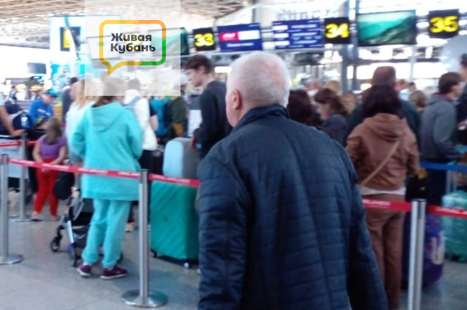 Фото: Живая Кубань