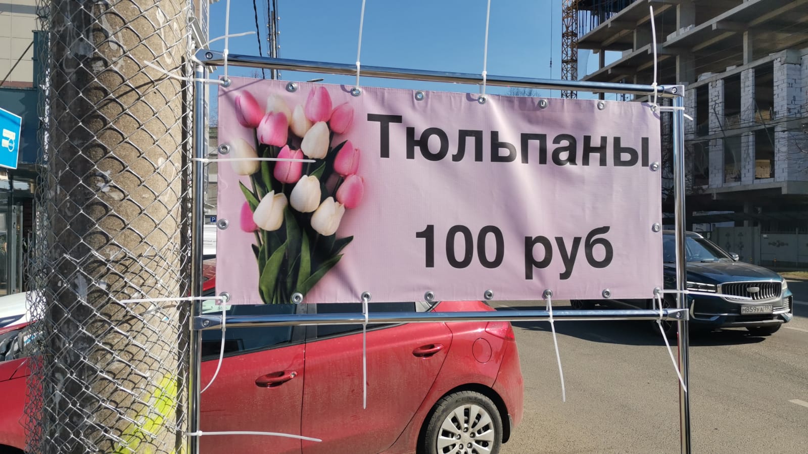Живая кубань