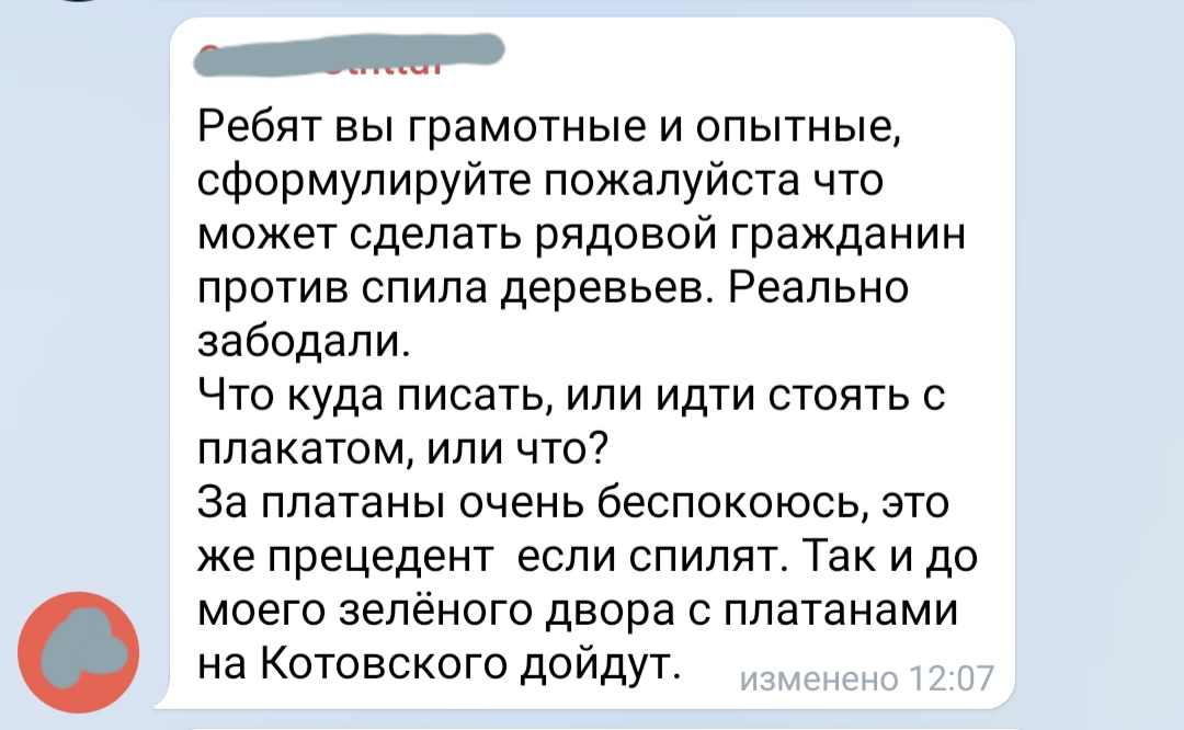 Краснодарцам не показали новый проект озеленения города