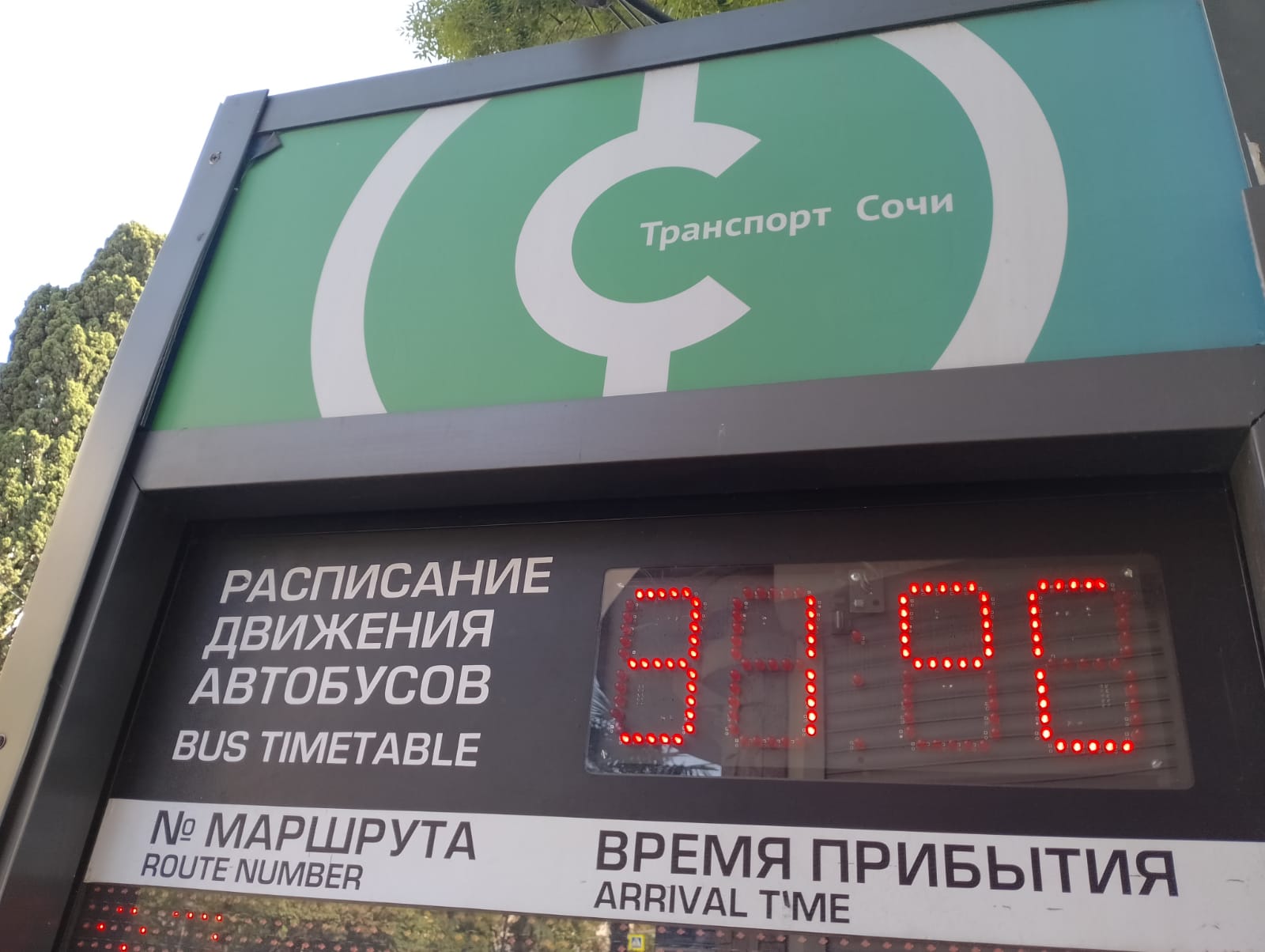 Фото: Живая Кубань