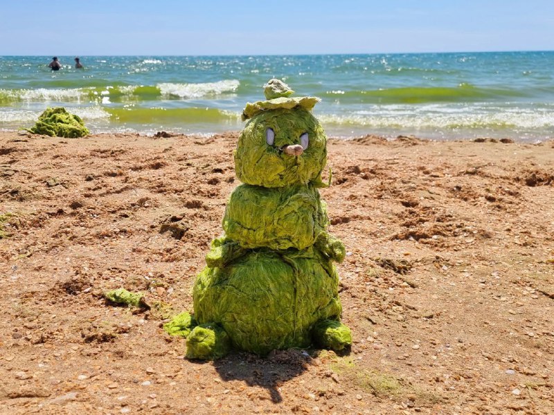 В Анапе туристы придумали, как использовать водоросли из моря ВИДЕО