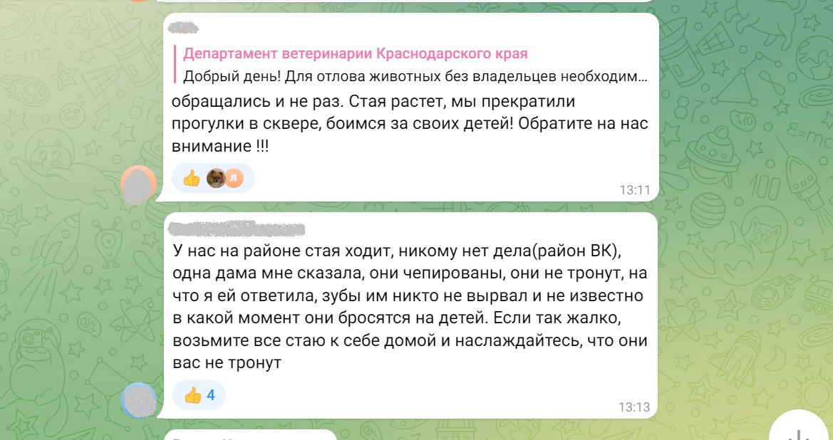 В Краснодаре стая одичавших собак напала на ребенка