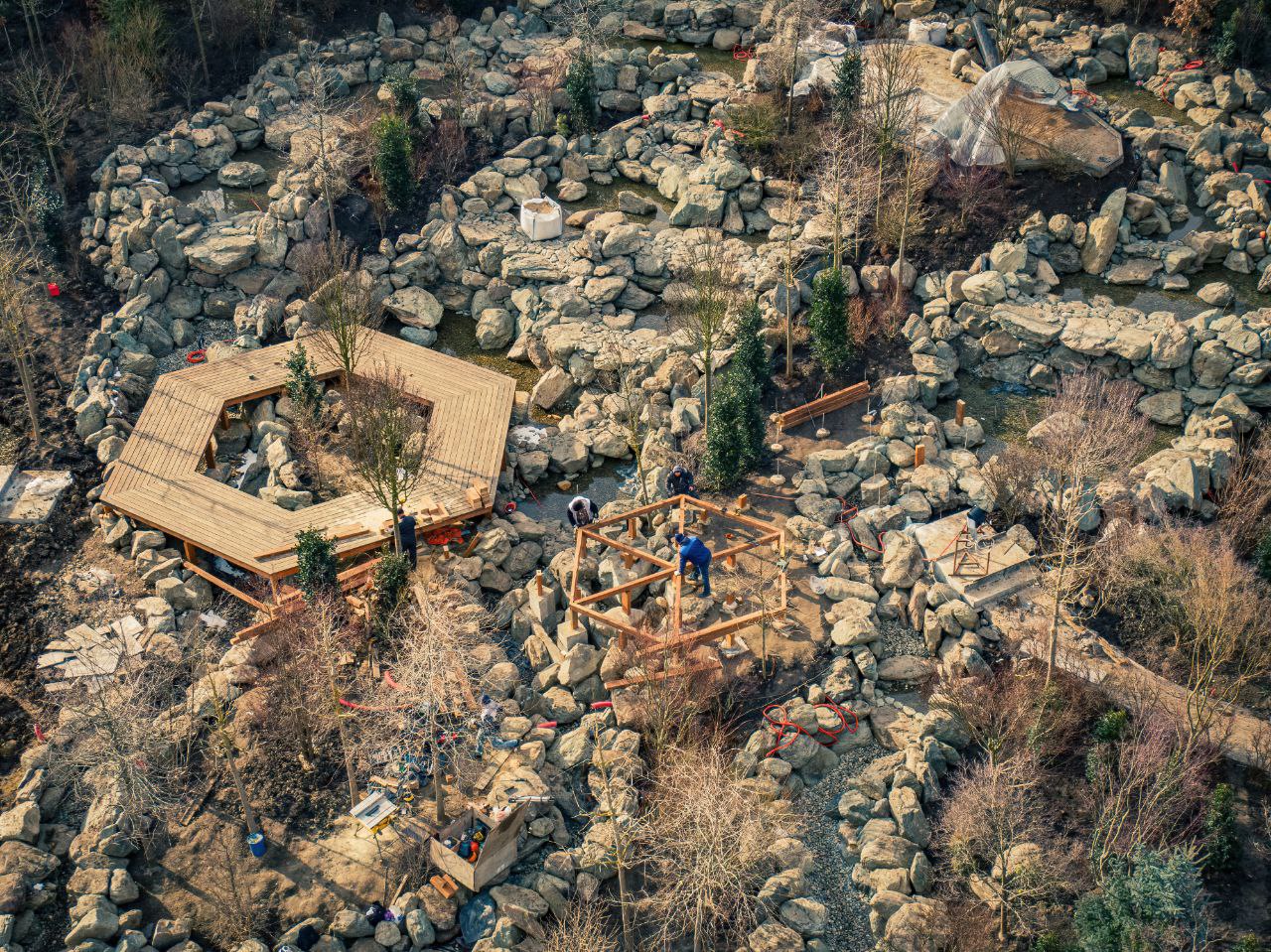 В японский сад парка Галицкого привезли самую высокую траву в мире ВИДЕО