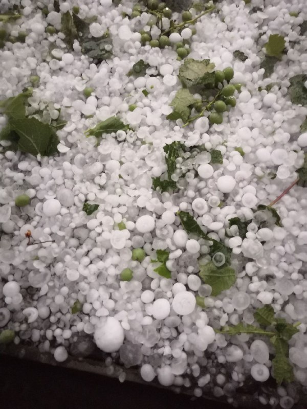 ������ �������� ������ �������� � ������� �����