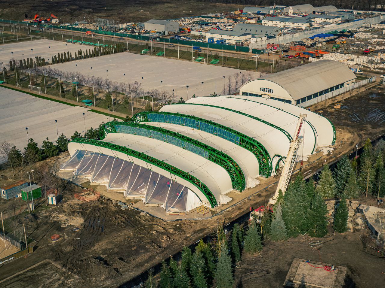 В японский сад парка Галицкого привезли самую высокую траву в мире ВИДЕО