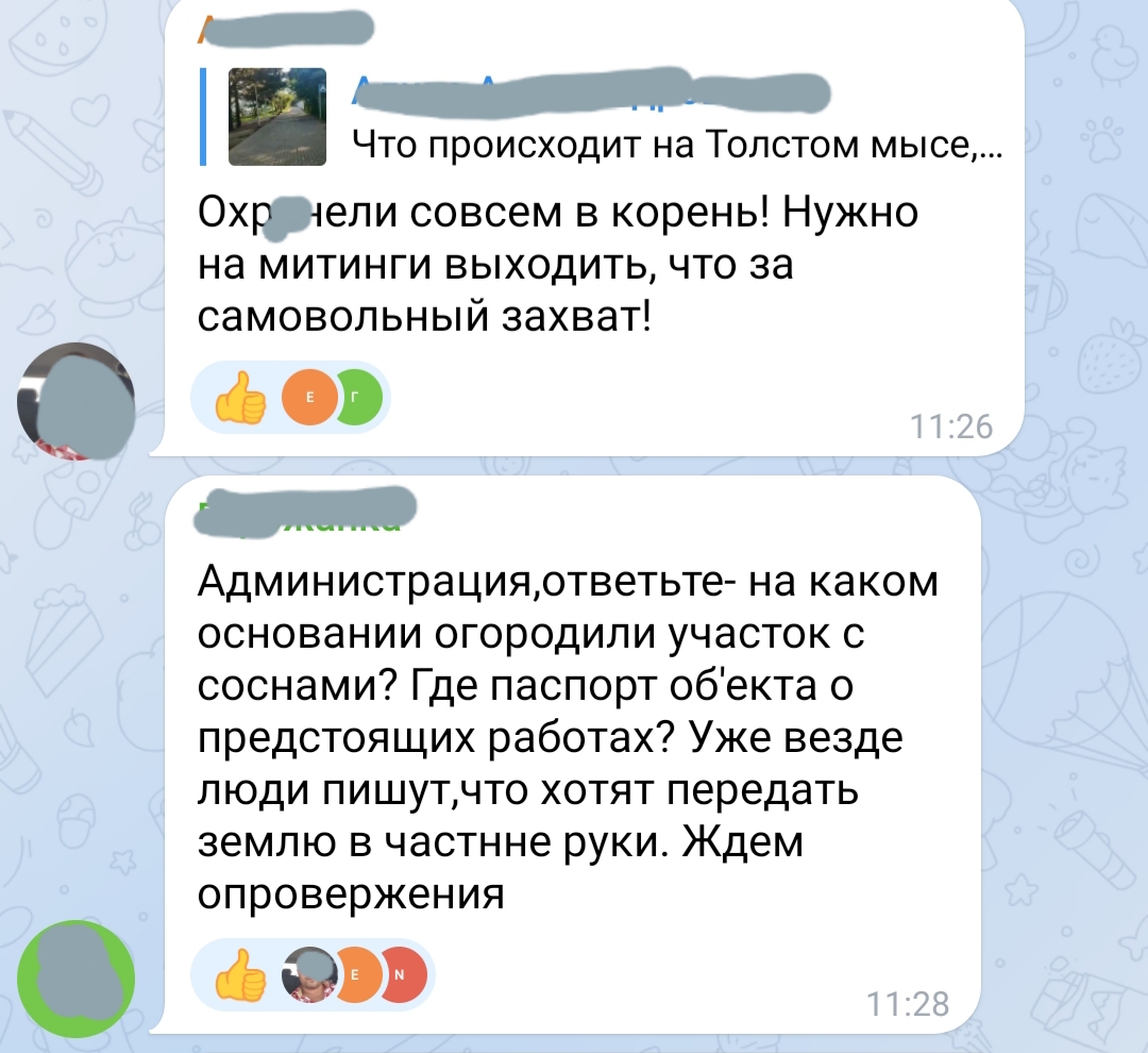 Скандал: власти Геленджика сдали сосновую рощу в аренду на 49 лет