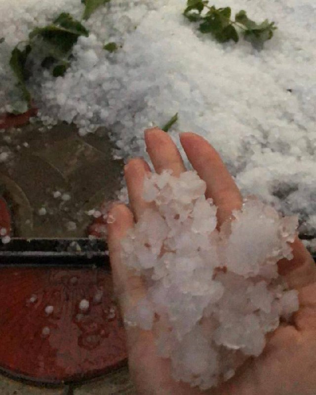 ������ �������� ������ �������� � ������� �����