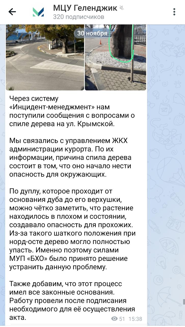 Власти Геленджика рассказали про дупло и его влияние на местность