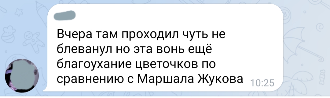 В Геленджике нарастают вонючие мусорные кучи ВИДЕО
