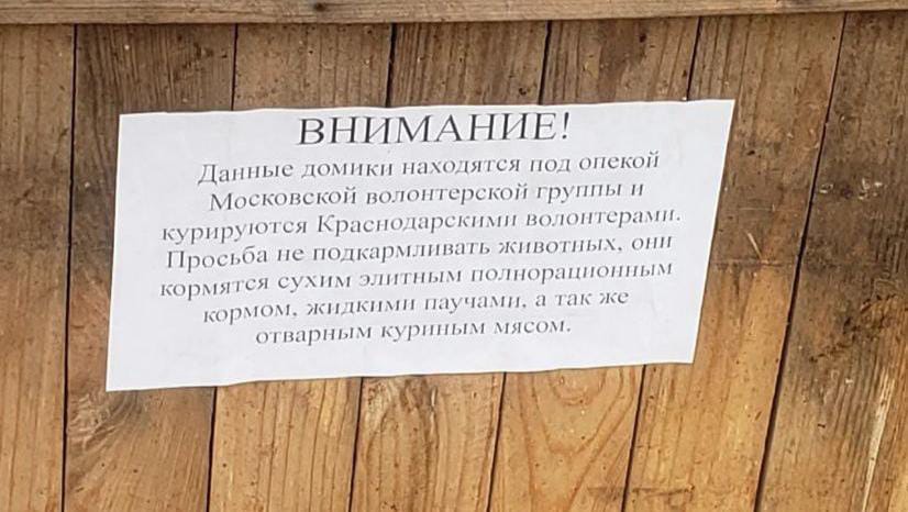 Фото: Telegram-канал «Сельхоз ЮМР Краснодар»