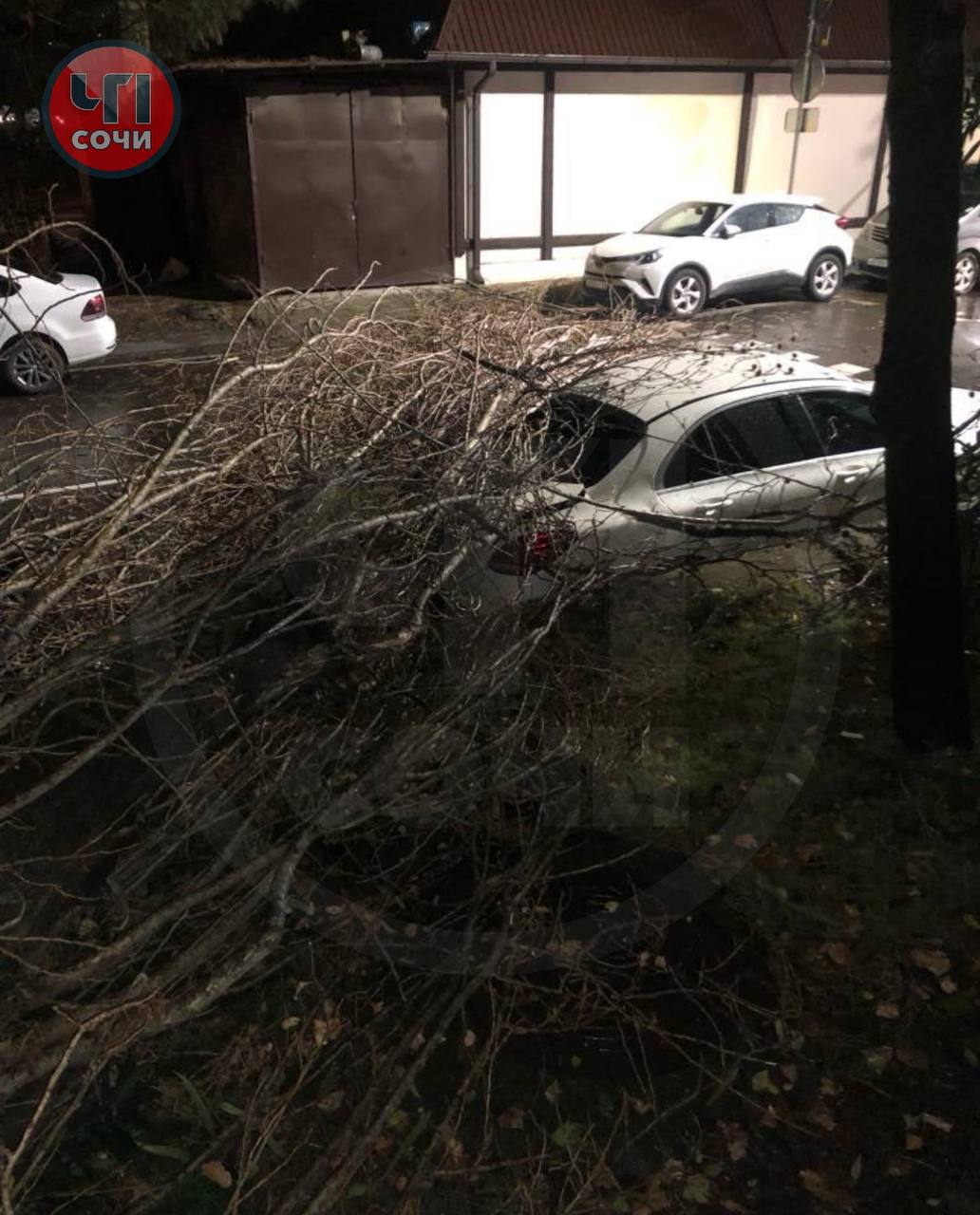В Сочи штормовым ветром повалены десятки деревьев и сорваны крыши