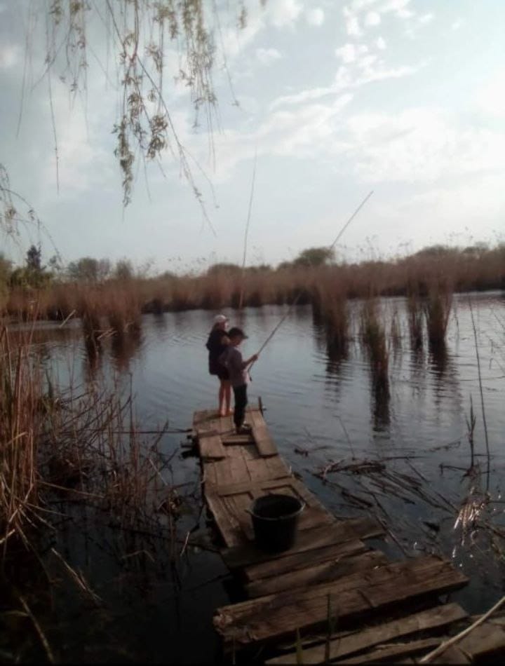 жительница кубанской станицы жалуется на захват водоохранной зоны
