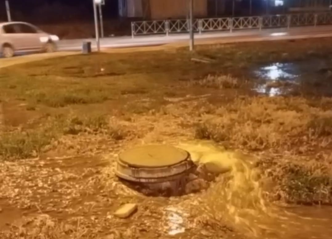 Фото: скриншот видео