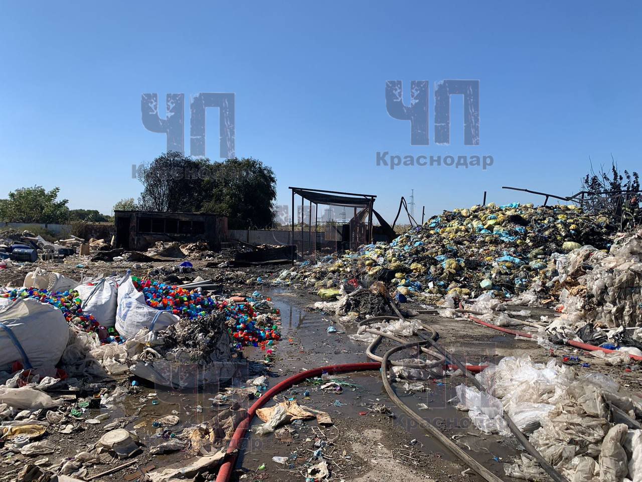 Информацию о нелегальной свалке медицинских отходов проверит прокуратура Краснодара 