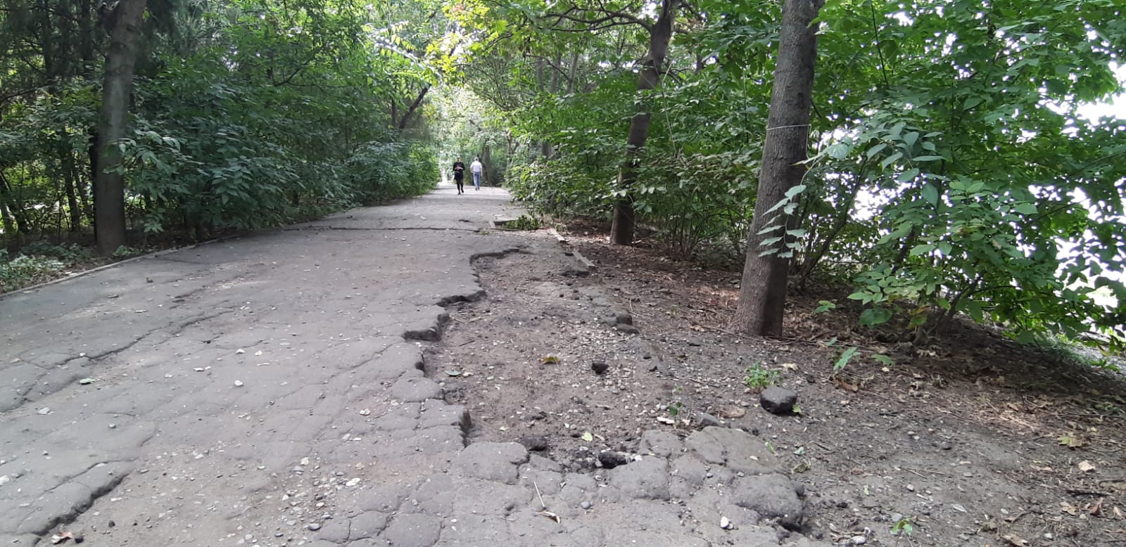 В Краснодаре почернел символ региональной власти ВИДЕО