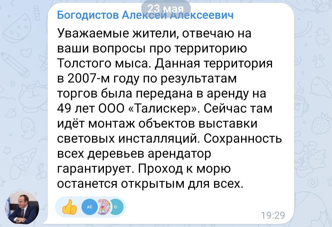 Скандал: власти Геленджика сдали сосновую рощу в аренду на 49 лет