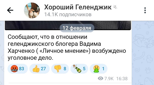 В Геленджике на известного блогера завели уголовное дело?