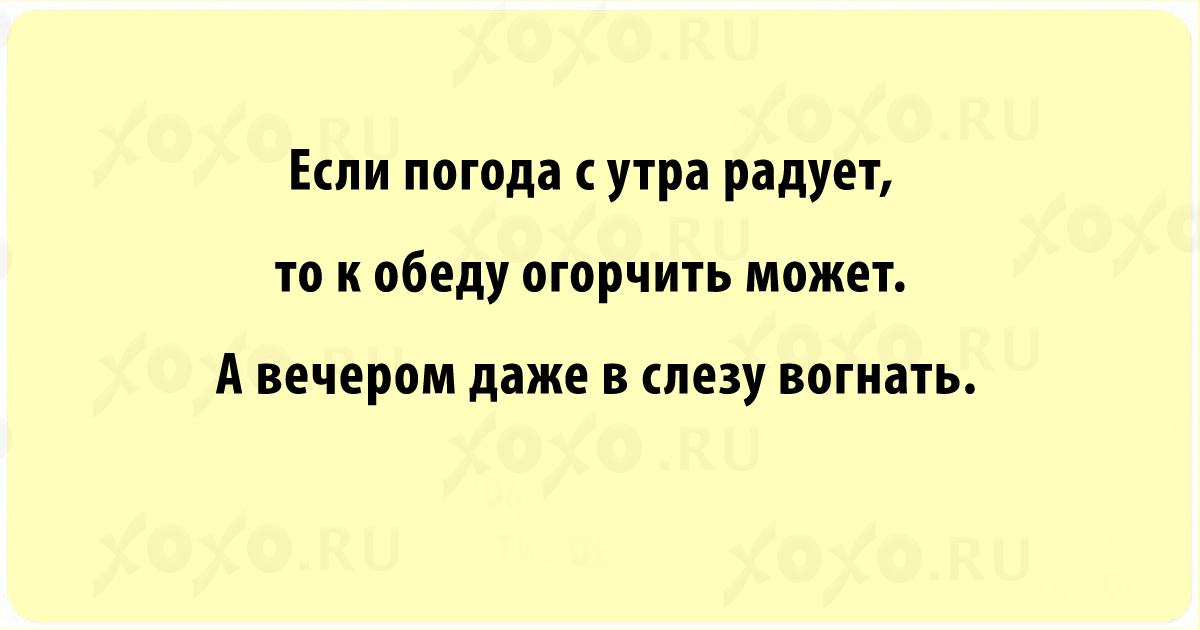 В хорошую погоду меня от окна даже за уши не оттащишь: анекдоты дня