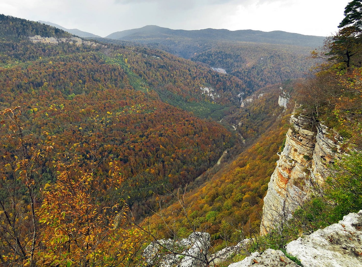 Фото: открытый источник