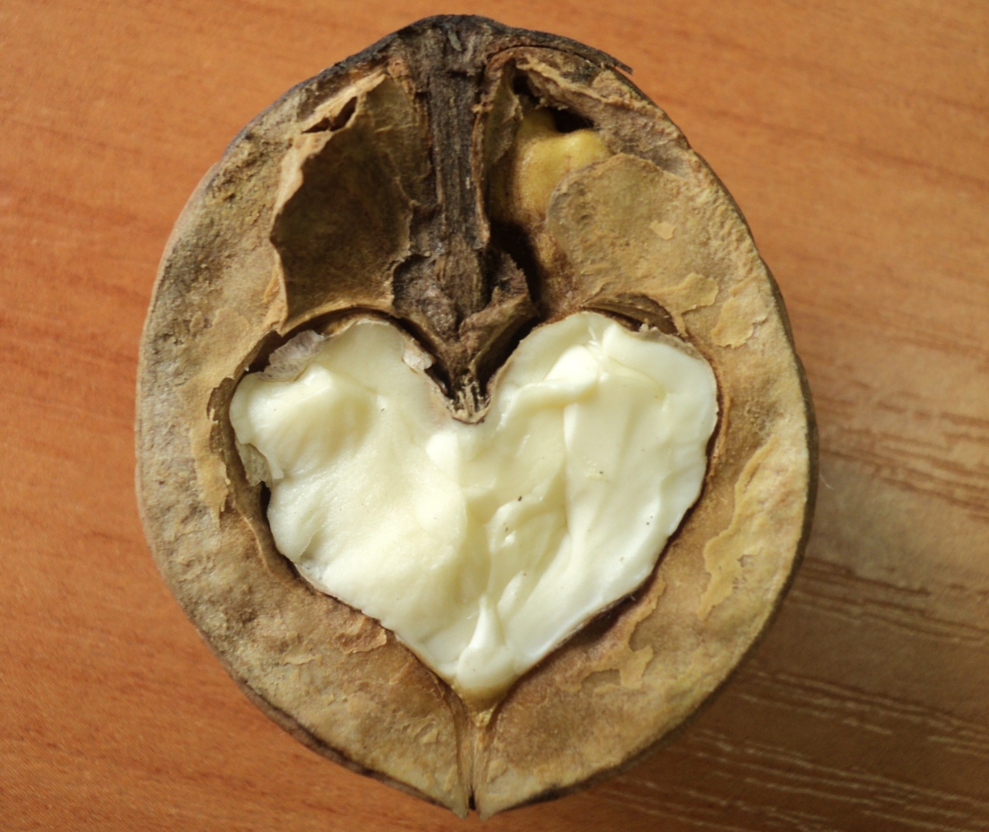 Грецкий орех полезен для мужчин