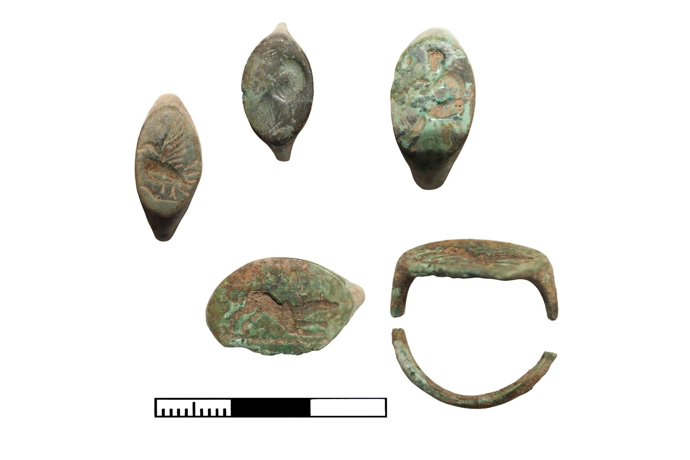 Раскопки в Новороссийске