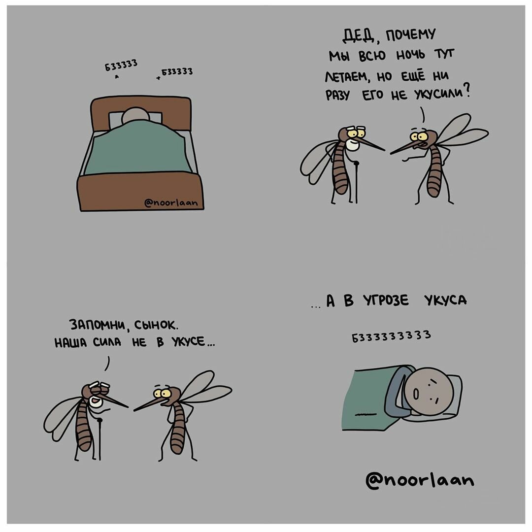 Борьба с комарами в квартире развивает слух, внимание, ловкость и паранойю: анекдоты дня